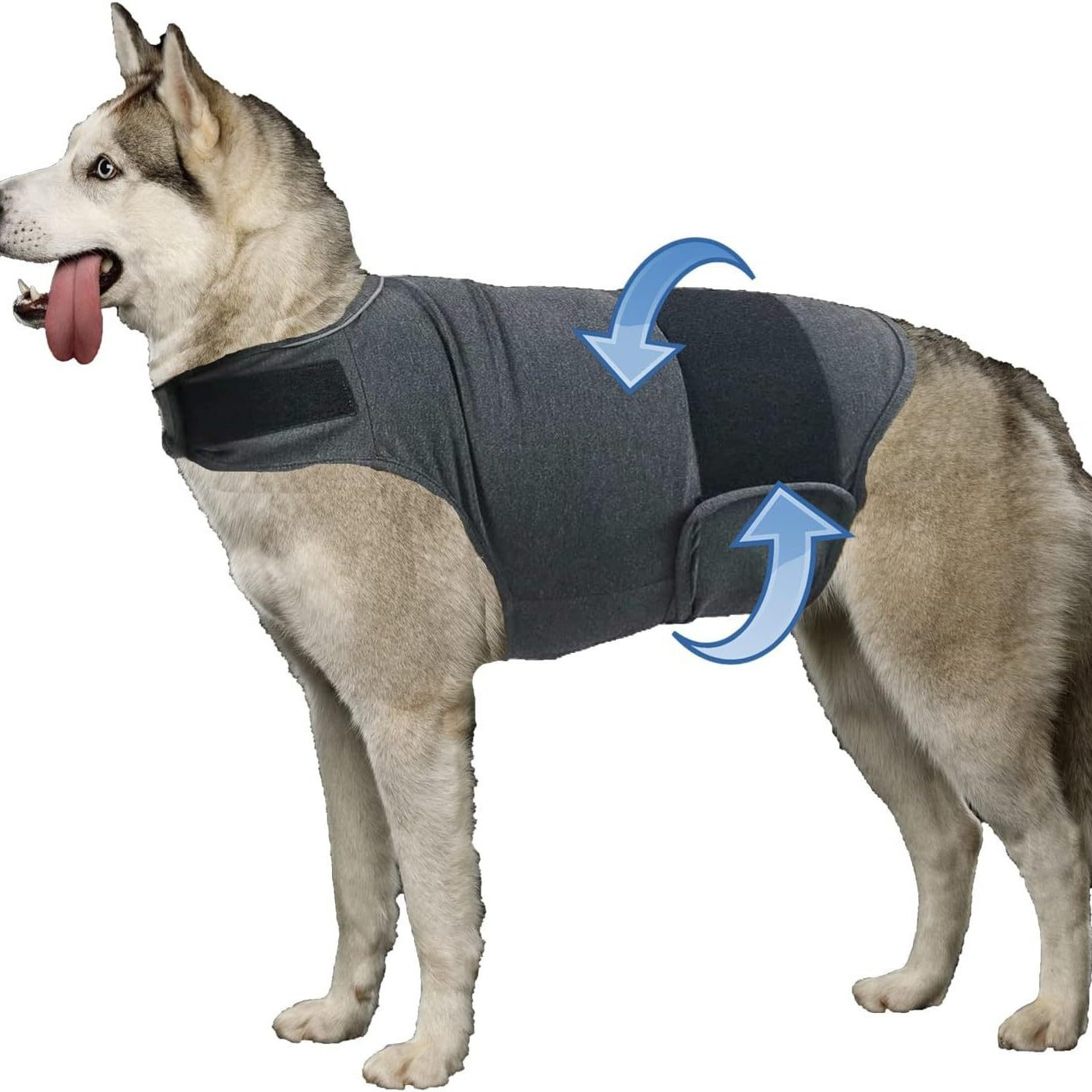Anti-Anxiety Dog Thunder Jacket