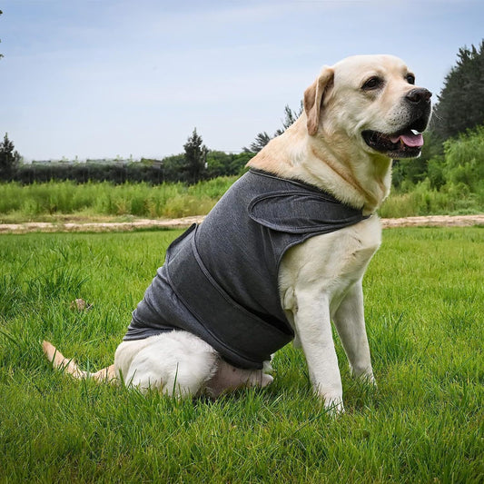 Anti-Anxiety Dog Thunder Jacket