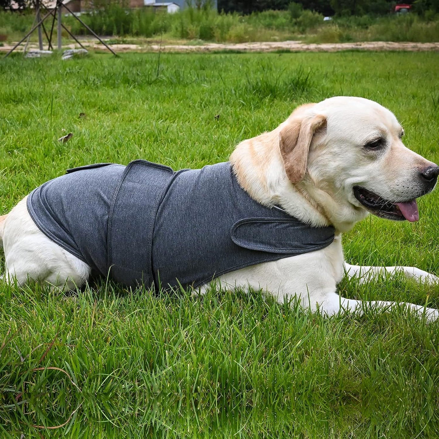 Anti-Anxiety Dog Thunder Jacket